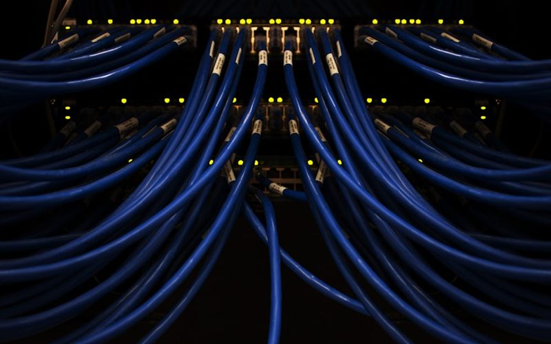 Ağ panelinde düzenlenmiş mavi ethernet kabloları